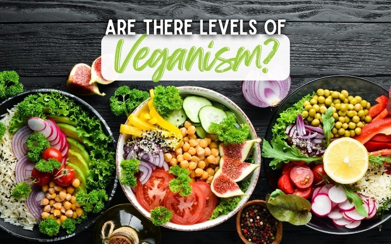 Are There Levels of Veganism?